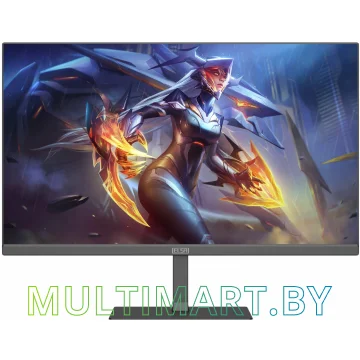 Монитор ELSA EA251Q